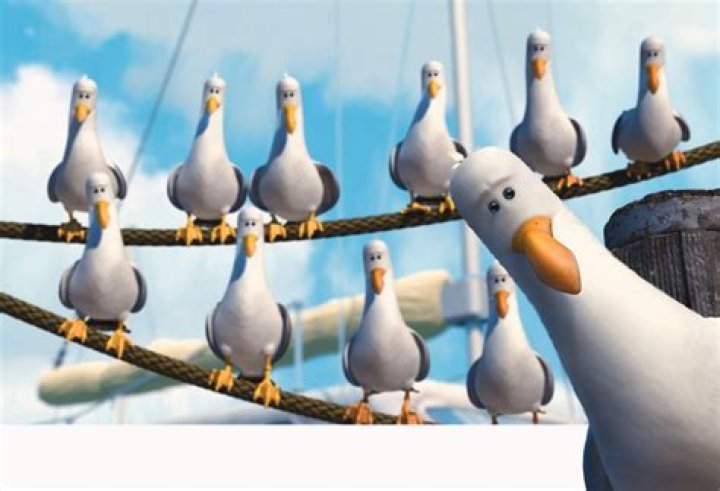 Do the seagulls in Finding Nemo say mine or mate? – Celebrity