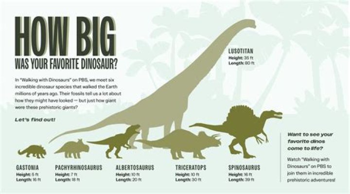 How tall is Tarzan supposed to be?