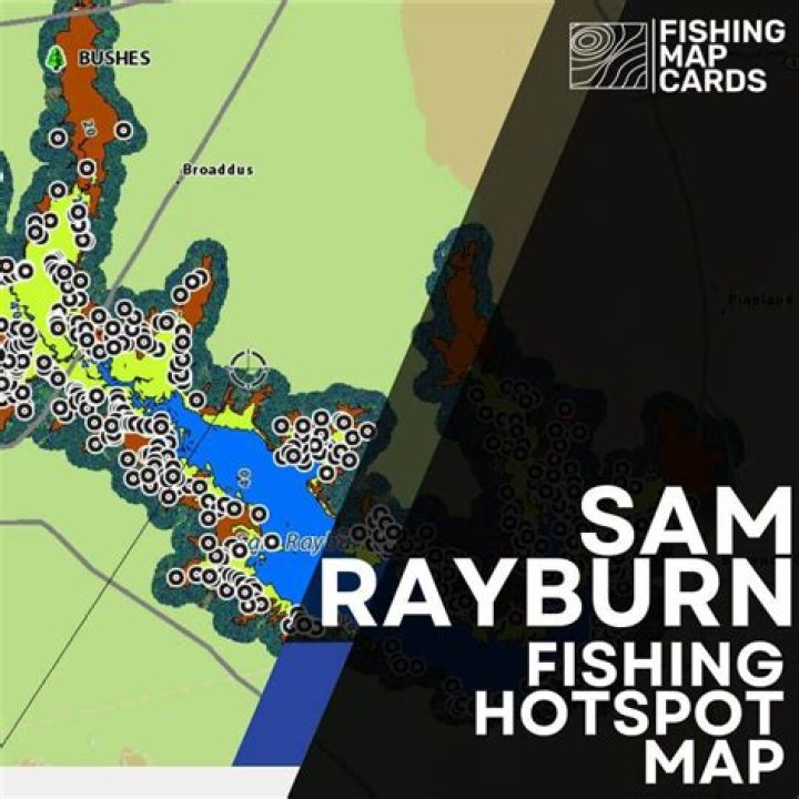 Sam Rayburn